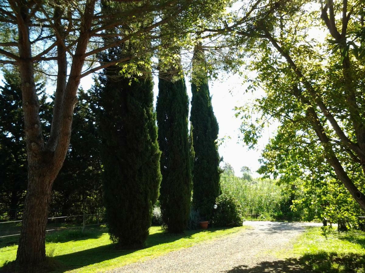 Hotel Agriturismo Piana Arborello Magliano in Toscana Exterior foto