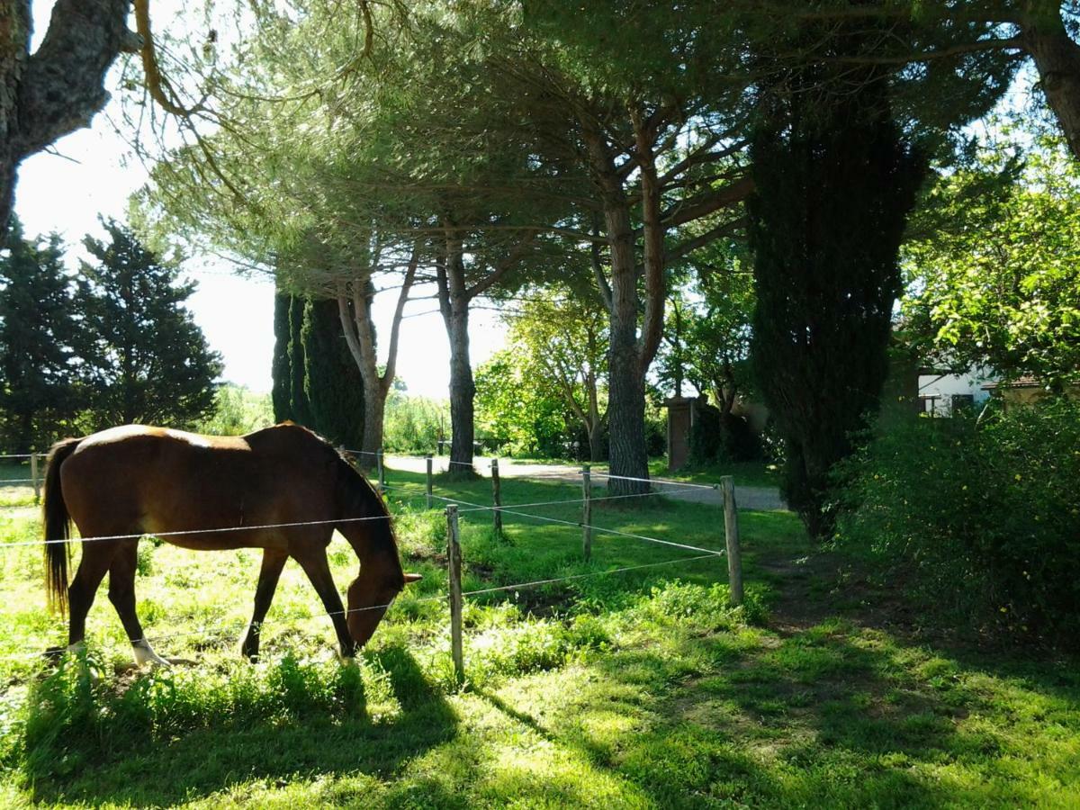 Hotel Agriturismo Piana Arborello Magliano in Toscana Exterior foto