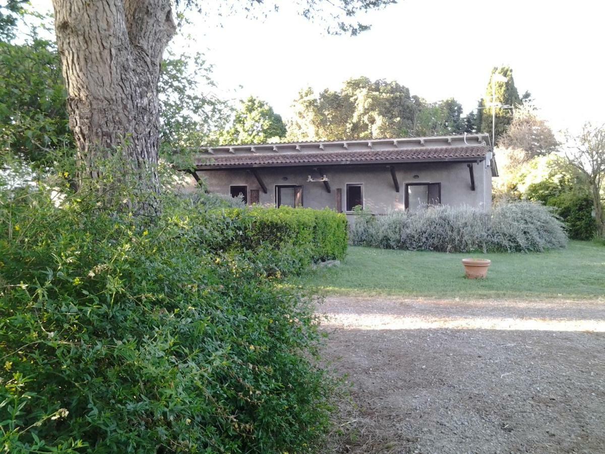 Hotel Agriturismo Piana Arborello Magliano in Toscana Exterior foto