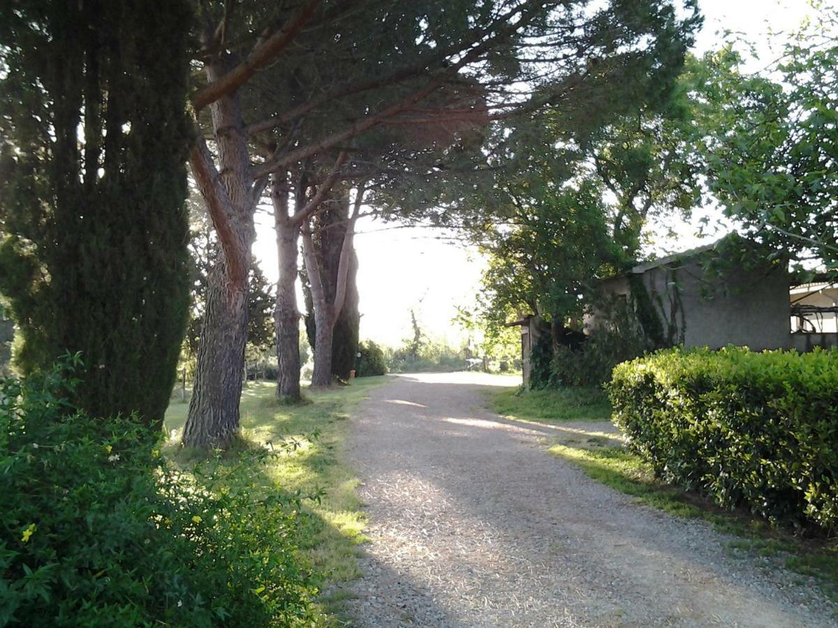 Hotel Agriturismo Piana Arborello Magliano in Toscana Exterior foto